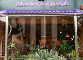 Life Alive Urban Oasis & Organic Cafe